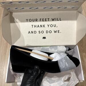 Birdies the hummingbird 30